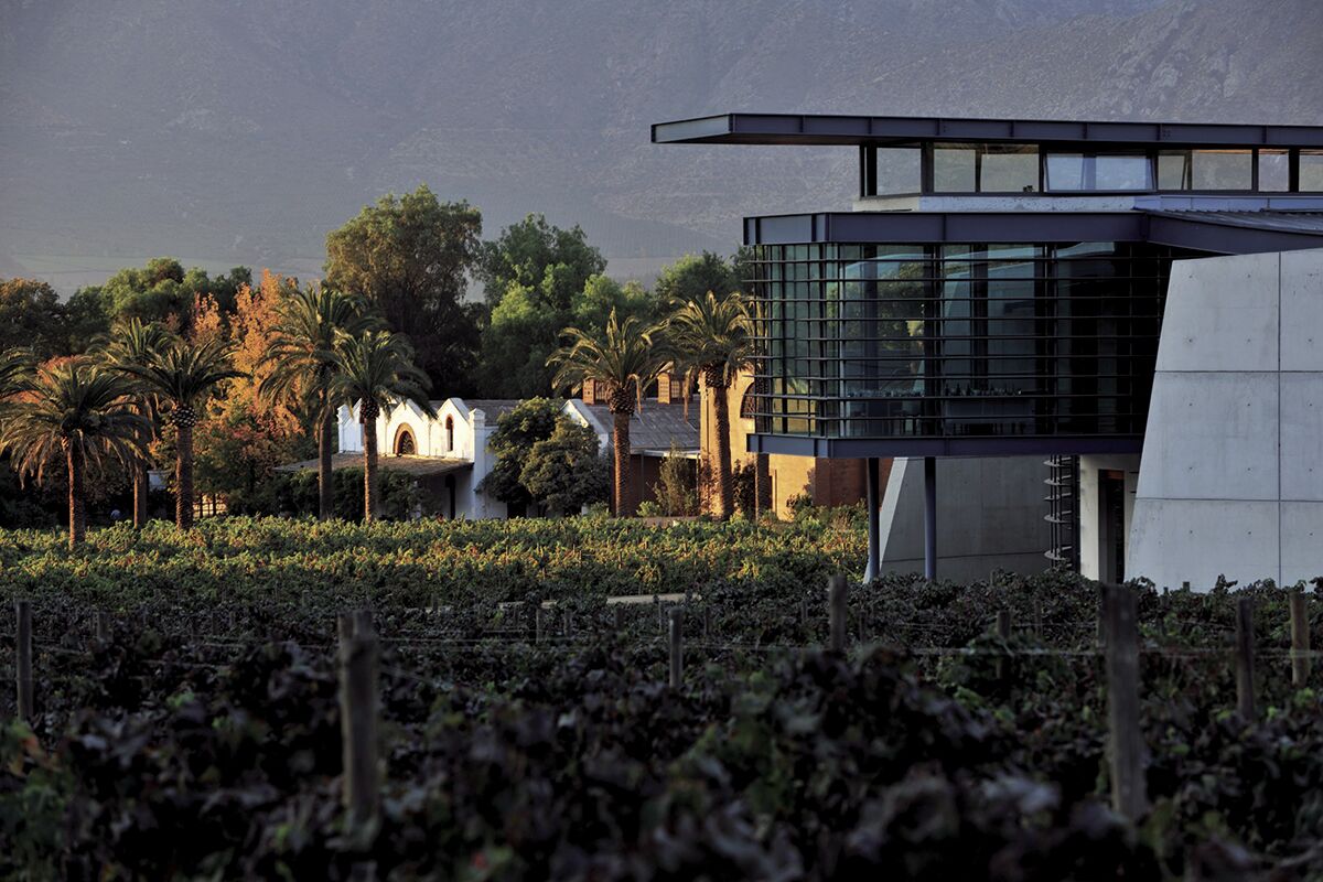 Mandi Robertson: What makes the Max wines of Erraruriz, Chile so distinct?